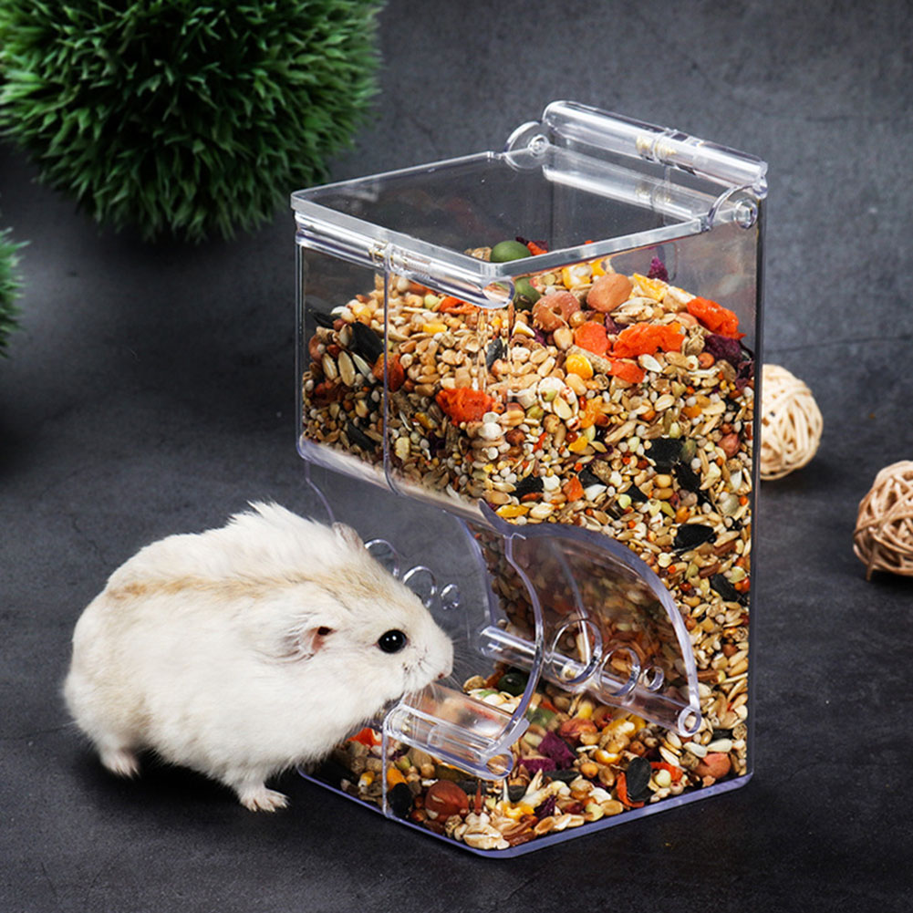 Automatic Pet Feeder - ﻿ 2-1PCS Nette Hamster Kleine Tier