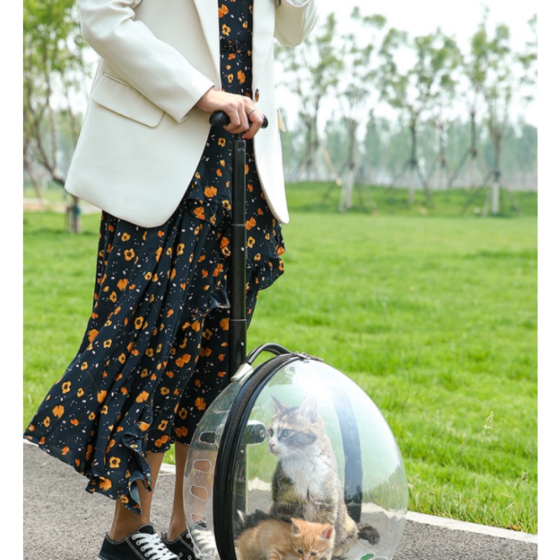 Pet Stroller Carrier - Transparenter Rollender Haustiertransportwagen mit Großer Kapazität