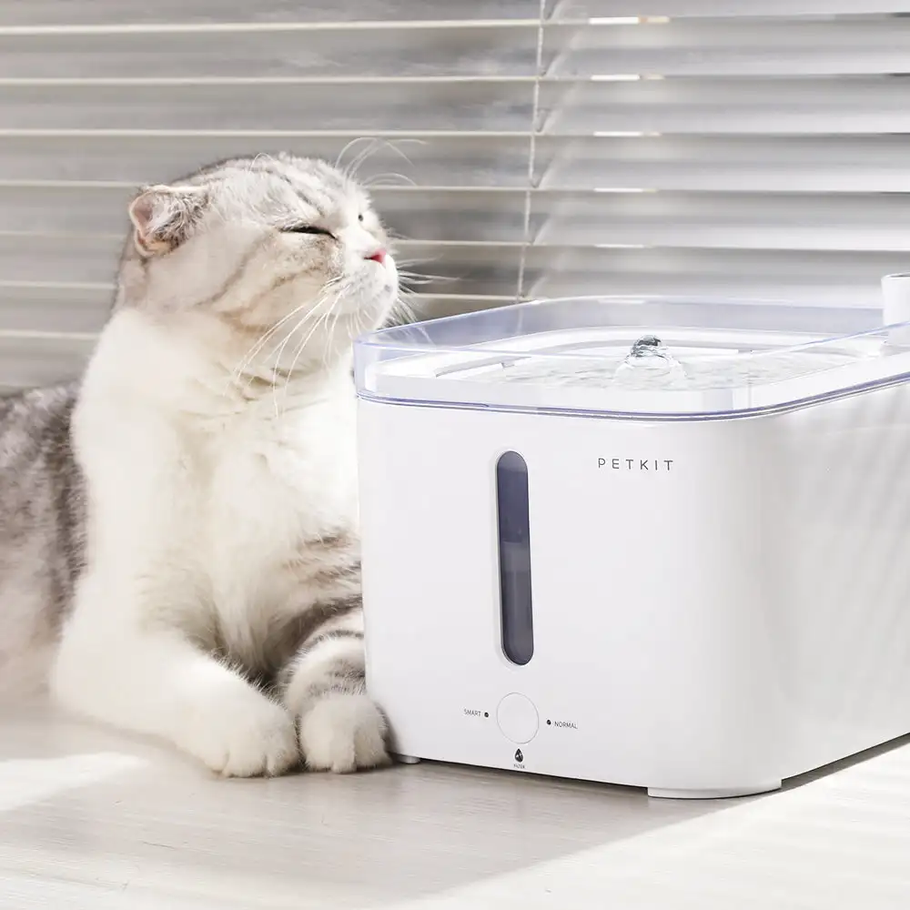 Intelligenter Wasserbrunnen fü – Automatic Pet Feeder Bewertung und Preis
