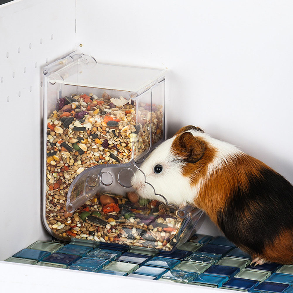    2-1PCS Nette Hamster Klein – Automatic Pet Feeder Bewertung und Preis