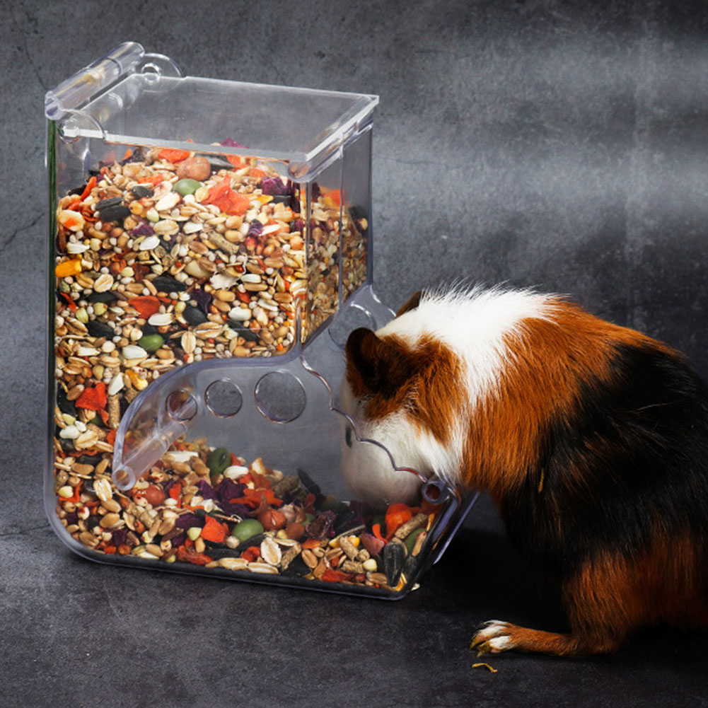    2-1PCS Nette Hamster Klein – Automatic Pet Feeder Bewertung und Preis