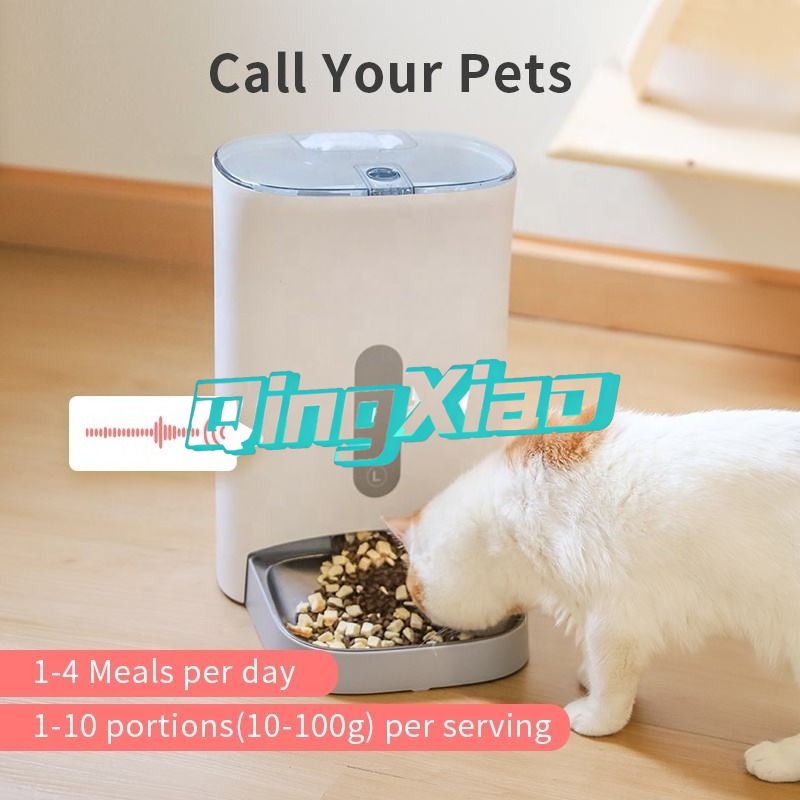 Automatischer Futterautomat fü – Automatic Pet Feeder Bewertung und Preis