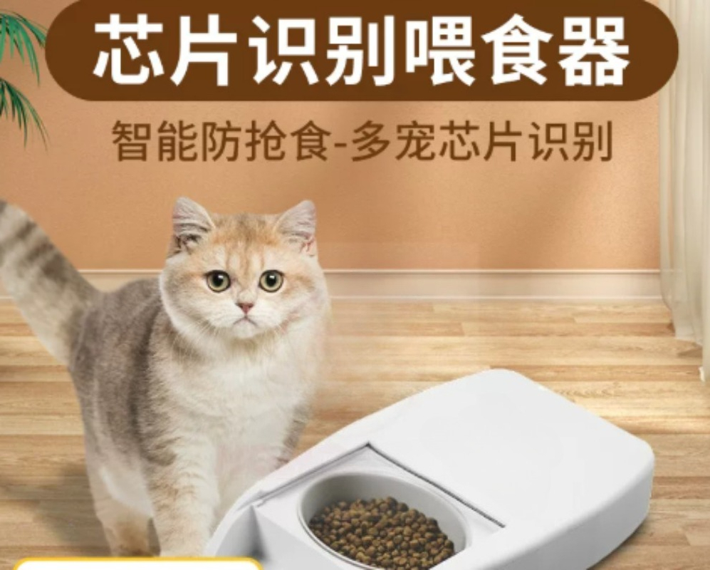 Intelligenter Automatischer Ti – Automatic Pet Feeder Bewertung und Preis