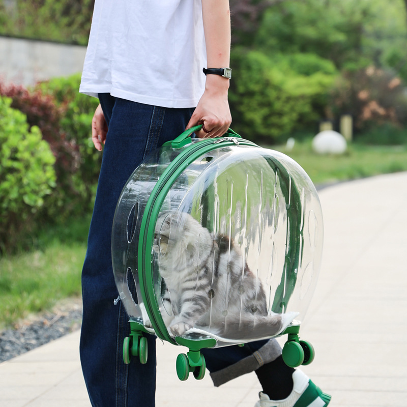 Haustier Katze Hund Tasche Tro – Pet Stroller Carrier Bewertung und Preis