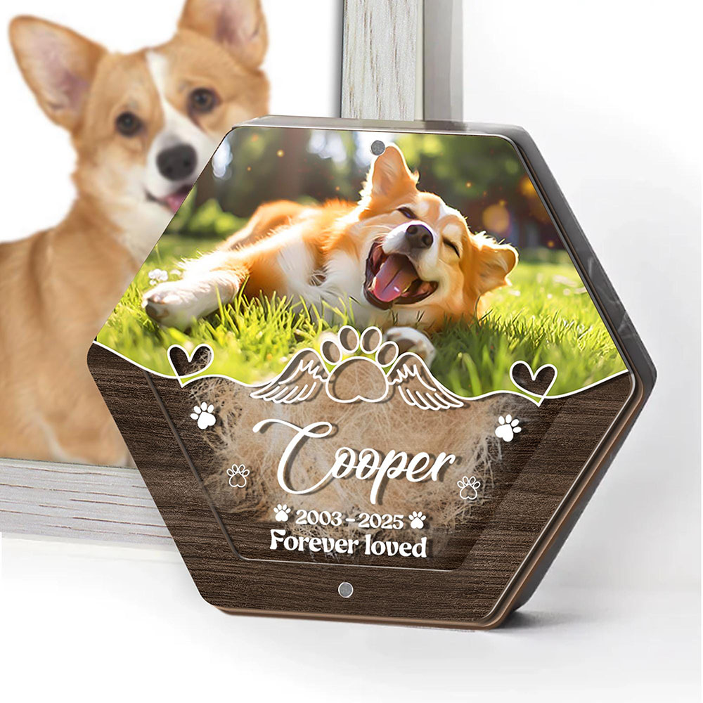 Personalisierte Name Holzschni – Pet Supplies Stores Bewertung und Preis