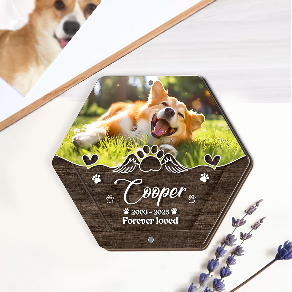 Personalisierte Name Holzschni – Pet Supplies Stores Bewertung und Preis