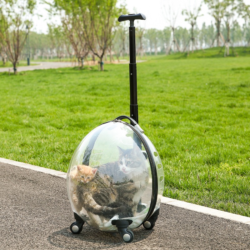 Transparenter Rollender Hausti – Pet Stroller Carrier Bewertung und Preis