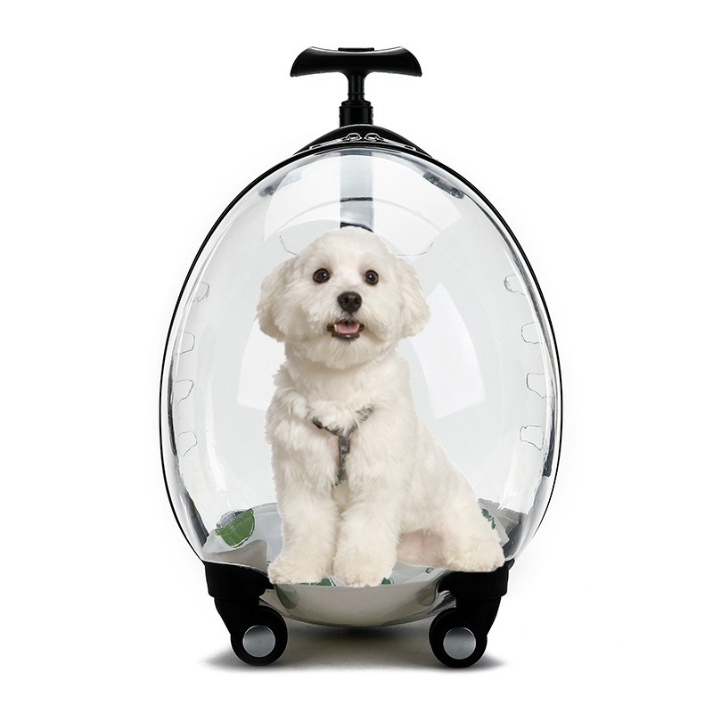 Transparenter Rollender Hausti – Pet Stroller Carrier Bewertung und Preis