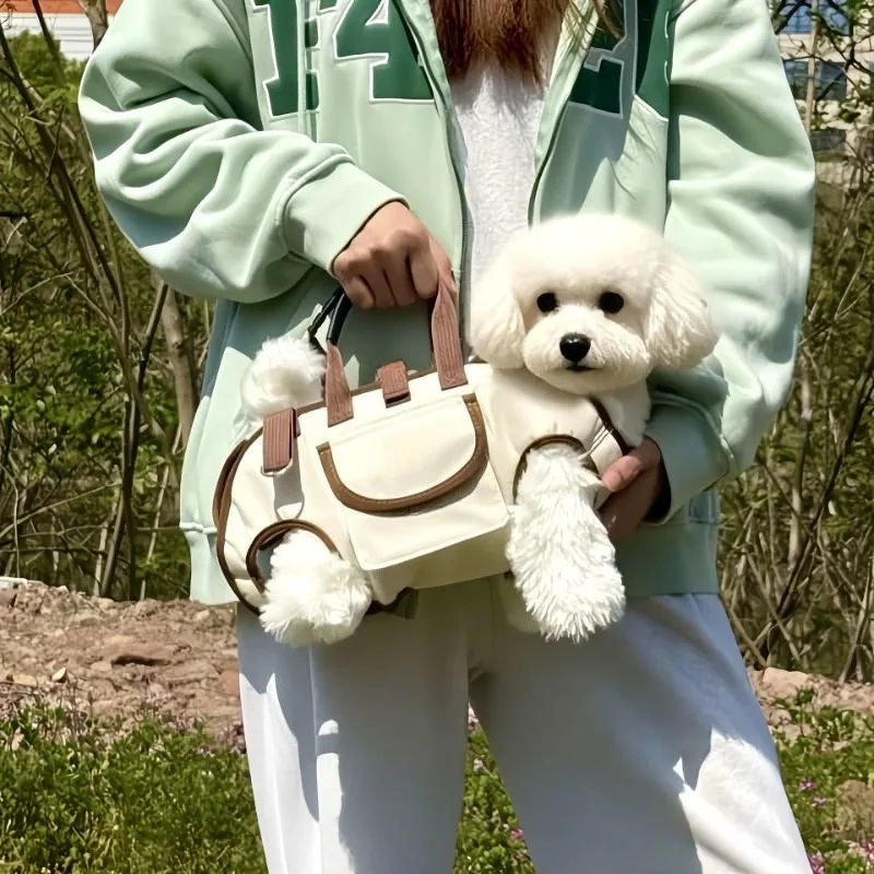 2026 Kleiner Hunde-Tragesack m – Pet Stroller Carrier Bewertung und Preis