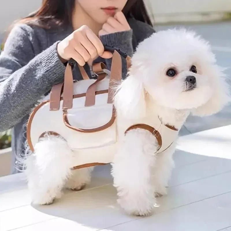 2026 Kleiner Hunde-Tragesack m – Pet Stroller Carrier Bewertung und Preis