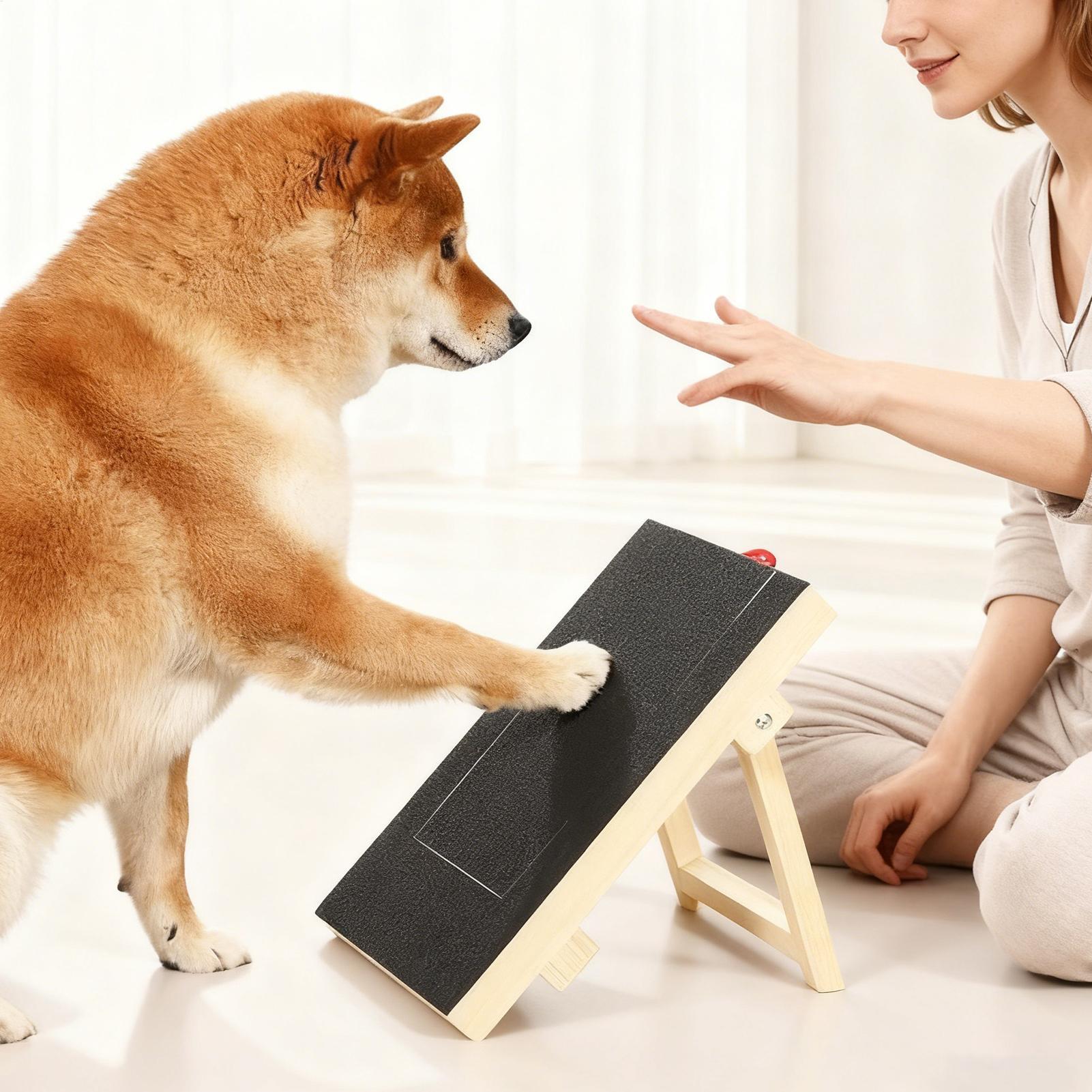 Hölzernes Kratzbrett für Hunde – Pet Nail Grinder Bewertung und Preis