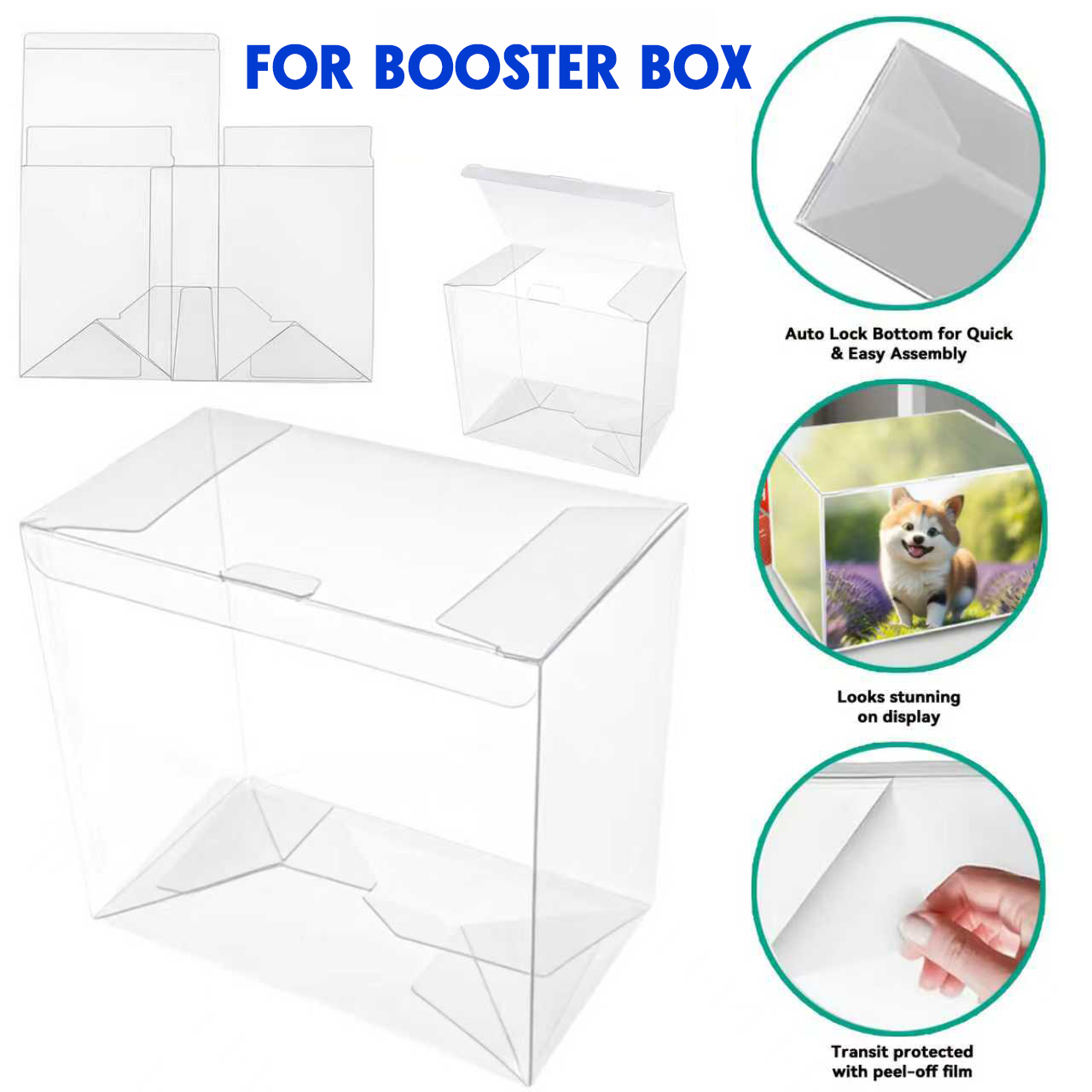 5/10 Stück transparente PET-Bo – Pet Supplies Stores Bewertung und Preis
